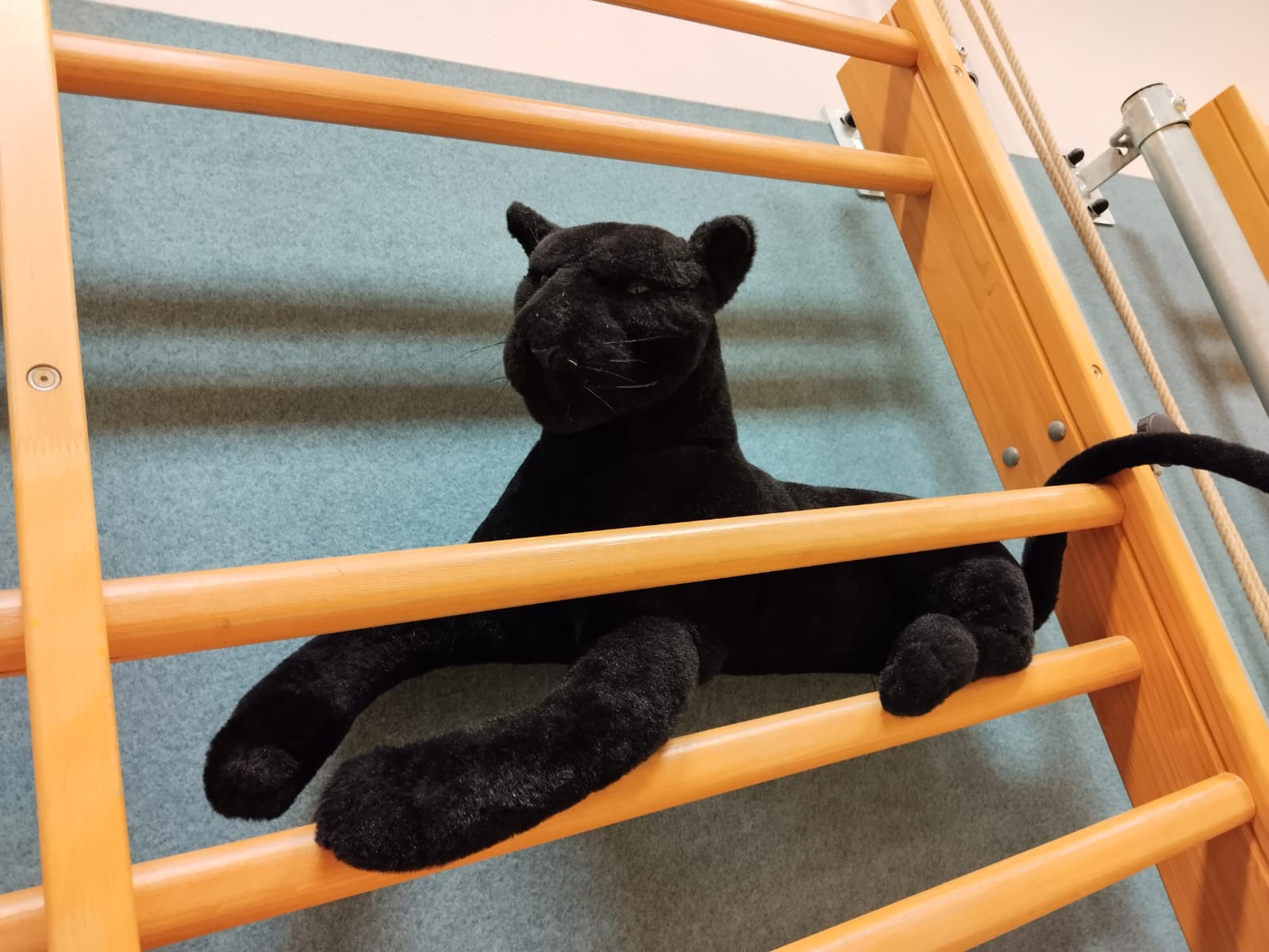 MS 25/26 Runde F06 – A/B/C